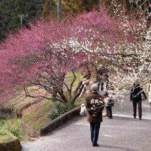 🌸 토요오카 매화원(토요오카 바이엔) 이미지 1
